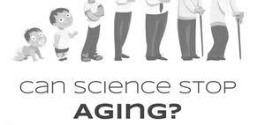 Blog Post 3 Medicalization of Aging