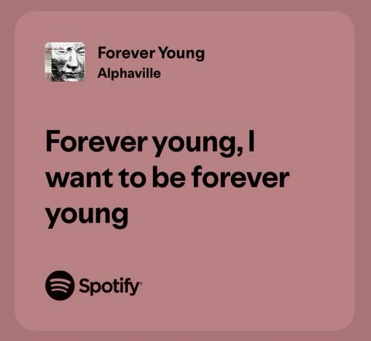 Blog Post 1 Introduction & Meaning of Aging