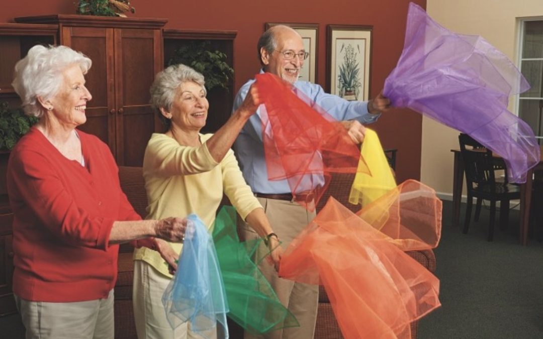 Blog Post 2 – My Late Life Aging